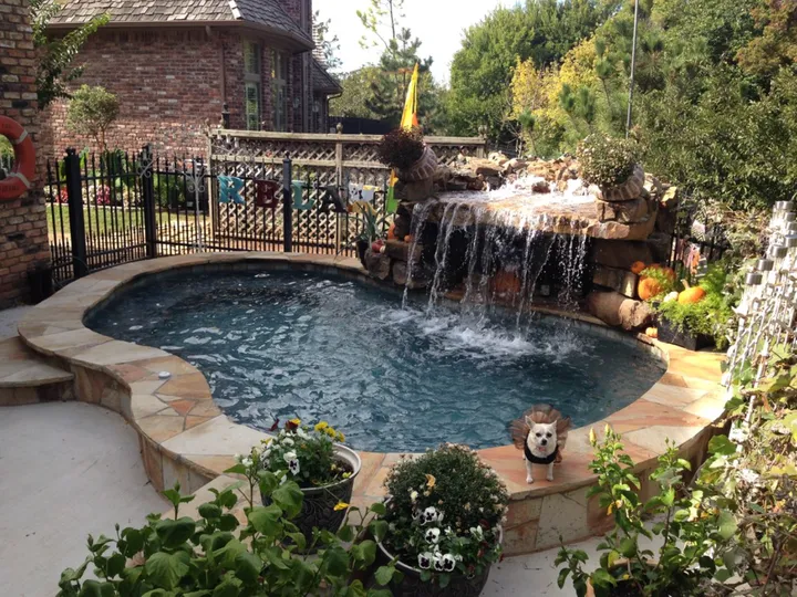 Large pool with dramatic stone waterfall and natural landscaping